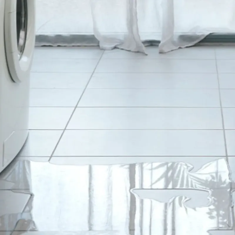 Appliance Leak Cleanup in Marion County, FL